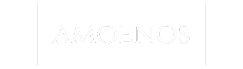 Amoenos SEO & GEO optimizacija logo